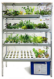 Гидропонная установка "ЭКОНОМ" 4 этажа 