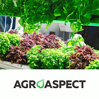 ООО «Агроаспект Плюс»
