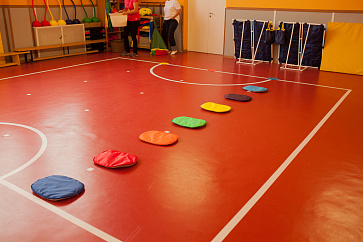 Кочки плоские 7 шт. (набор радуга) в мешке для хранения. | учебное оборудование на nsppo.ru - 0 Кочки плоские 7 шт. (набор радуга) в мешке для хранения. – портал поставщиков НСППО - 1