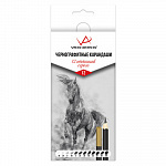 "VISTA-ARTISTA" VAGPG-12 Чернографитные карандаши "12 оттенков серого" набор заточенный 12 шт. – портал поставщиков НСППО