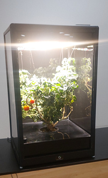 Интелектуальный фитобокс для выращивания овощей или пряных трав – портал поставщиков НСППО - 1