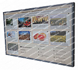 05.05.03.24 Стенд-планшет «Генетические основы селекции растений» 05.05.03.24 Стенд-планшет «Генетические основы селекции растений»