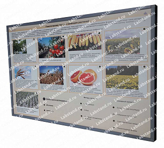 05.05.03.24 Стенд-планшет «Генетические основы селекции растений» | учебное оборудование на nsppo.ru - 0 05.05.03.24 Стенд-планшет «Генетические основы селекции растений» – портал поставщиков НСППО - 1