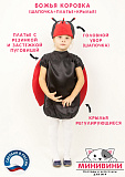 Божья коровка (шапочка + платье + крылья) Божья коровка (шапочка + платье + крылья)