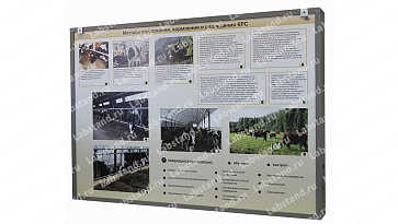 05.05.03.10 Стенд-планшет «Методы содержания, кормления и разведения КРС» | учебное оборудование на nsppo.ru - 0 05.05.03.10 Стенд-планшет «Методы содержания, кормления и разведения КРС» – портал поставщиков НСППО - 1