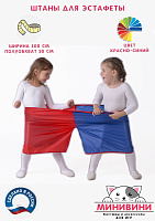 Штаны для эстафеты (детские) – портал поставщиков НСППО