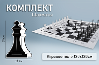 Напольная игра "Шахматы 31" – портал поставщиков НСППО