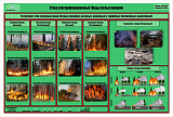 Стенд-планшет электрифицированный «Виды лесных пожаров» 