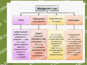05.05.03.23 Стенд-планшет «Методы селекции» | учебное оборудование на nsppo.ru - 0 05.05.03.23 Стенд-планшет «Методы селекции» – портал поставщиков НСППО - 1