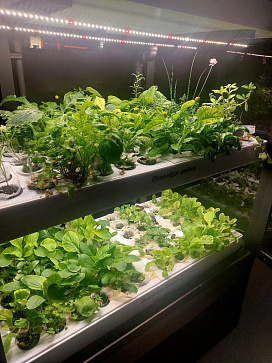 Цифровая биолаборатория GREENBAR LUX-4 ПАК ситиферма для агрокласса   управлением через мобильное приложение | учебное оборудование на nsppo.ru - 8 Цифровая биолаборатория GREENBAR LUX-4 ПАК ситиферма для агрокласса   управлением через мобильное приложение – портал поставщиков НСППО - 9