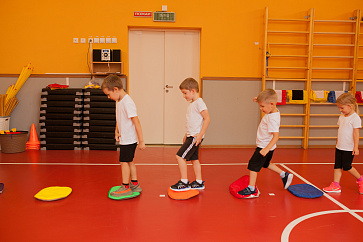 Кочки плоские 7 шт. (набор радуга) в мешке для хранения. | учебное оборудование на nsppo.ru - 1 Кочки плоские 7 шт. (набор радуга) в мешке для хранения. – портал поставщиков НСППО - 2