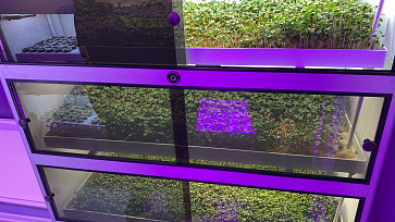 Цифровая биолаборатория Greenbar MZ-4 ПАК для выращивания микрозелени | учебное оборудование на nsppo.ru - 5 Цифровая биолаборатория Greenbar MZ-4 ПАК для выращивания микрозелени – портал поставщиков НСППО - 6