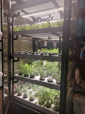 Цифровая биолаборатория GREENBAR LUX-4 ПАК ситиферма для агрокласса   управлением через мобильное приложение | учебное оборудование на nsppo.ru - 3 Цифровая биолаборатория GREENBAR LUX-4 ПАК ситиферма для агрокласса   управлением через мобильное приложение – портал поставщиков НСППО - 4