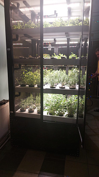 Цифровая биолаборатория GREENBAR LUX-4 ПАК ситиферма для агрокласса   управлением через мобильное приложение | учебное оборудование на nsppo.ru - 2 Цифровая биолаборатория GREENBAR LUX-4 ПАК ситиферма для агрокласса   управлением через мобильное приложение – портал поставщиков НСППО - 3