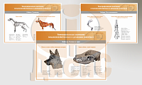 Информационные плакаты по ветеринарии и агрономии – портал поставщиков НСППО