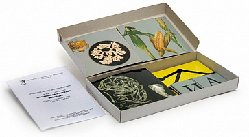 Основные направления эволюции (набор из 33 карт) 15х15, 30х15, 7,5х7,5  К41 | учебное оборудование на nsppo.ru - 0 Основные направления эволюции (набор из 33 карт) 15х15, 30х15, 7,5х7,5  К41 – портал поставщиков НСППО - 1