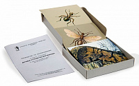 Муравьи. Устройство муравейника (набор из 8 карт) 15х15 – портал поставщиков НСППО
