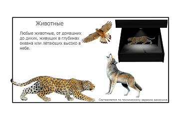 Голографический 3D контент «AVKompleks» – портал поставщиков НСППО - 5