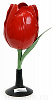 Модель цветка тюльпана Д07 – портал поставщиков НСППО