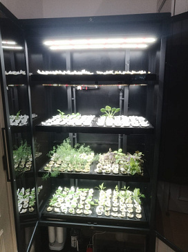Цифровая биолаборатория GREENBAR LUX-4 ПАК ситиферма для агрокласса   управлением через мобильное приложение | учебное оборудование на nsppo.ru - 7 Цифровая биолаборатория GREENBAR LUX-4 ПАК ситиферма для агрокласса   управлением через мобильное приложение – портал поставщиков НСППО - 8
