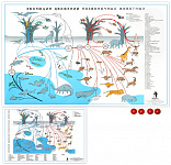 " Эволюция движения позвоночных животных " (1+ 15 шт)  О1 Комплект таблиц