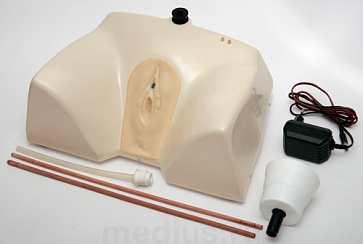 Т7 Тренажер для катетеризации мочевого пузыря (женский) – портал поставщиков НСППО - 1