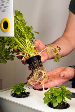 КОМПЛЕКТ КОНСТРУКТОР 1250•260•720ММ – портал поставщиков НСППО - 3