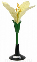 Модель цветка капусты (25х25х34 см/ 0,19 кг)  Д03 – портал поставщиков НСППО
