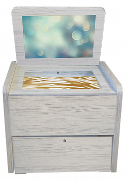 Сундучок логопеда "Антошка" ДОУ – портал поставщиков НСППО - 1