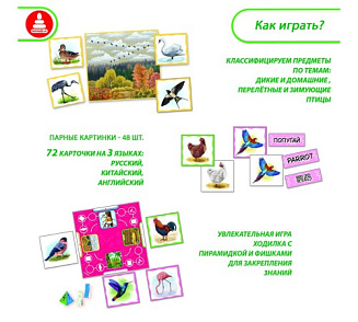 Игра "Найдите пары. Дикие и домашние, перелётные и зимующие птицы" – портал поставщиков НСППО - 2