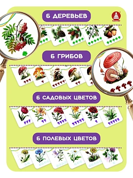 Игра "Логопедическое домино "Растения" – портал поставщиков НСППО - 4