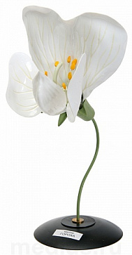 Модель цветка гороха Д02 – портал поставщиков НСППО - 1