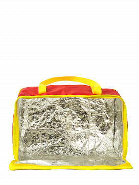 Термосумка | учебное оборудование на nsppo.ru - 1 Термосумка – портал поставщиков НСППО - 2