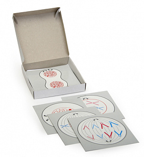 Деление клетки (набор из 5 карт) К14 – портал поставщиков НСППО - 1