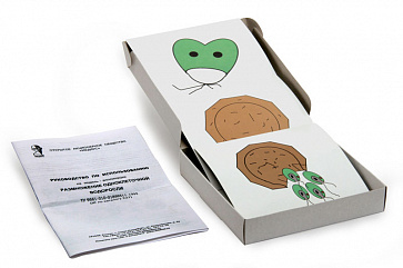 Размножение одноклеточной водоросли (набор из 11 карт) 15х15  К22 – портал поставщиков НСППО - 1