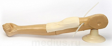 Т05 Тренажер для внутривенных инъекций – портал поставщиков НСППО - 1