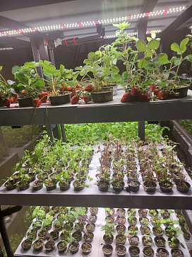 Комплексно оснащение агрокласса: цифровое оборудование для изучения естественных наук "Цифровая био-система по выращиванию растений Биопоник" – портал поставщиков НСППО - 5