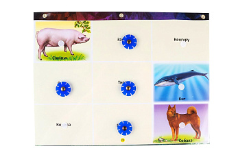 ЛОГИЧЕСКИЙ ЭКРАН. Набор.  Для детей 4-8 лет.  – портал поставщиков НСППО - 5